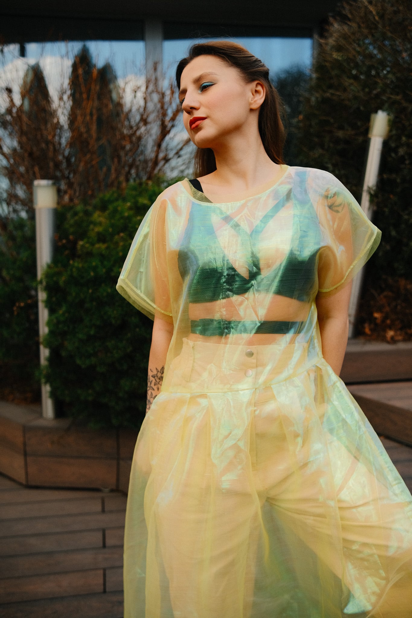 Mesh Dress — 1
